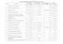 provide professional microsoft excel, word, and powerpoint services